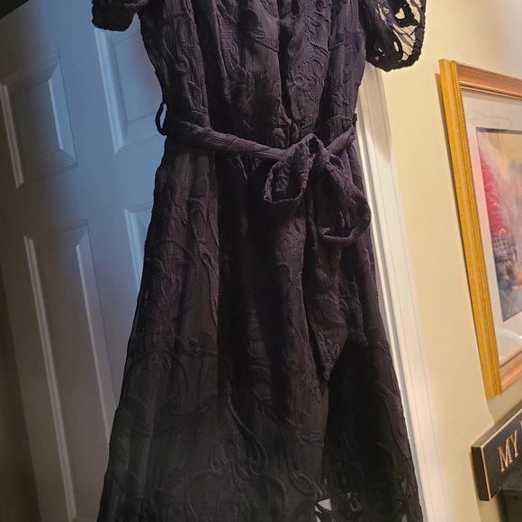 Bardot Maxi Dress - Picture 4 of 11